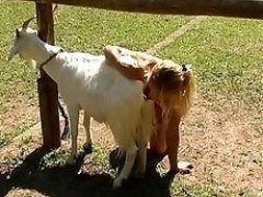 Sex with goat hot photos