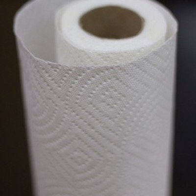 Moniqueeass needs her Mega_Roll of paper towels to clean up her squirt.