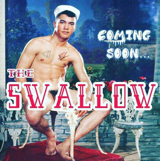 Sw swallow