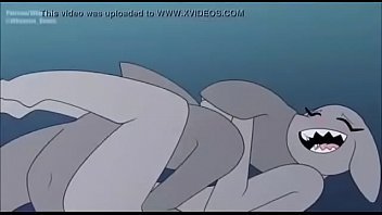 best of Animation shark