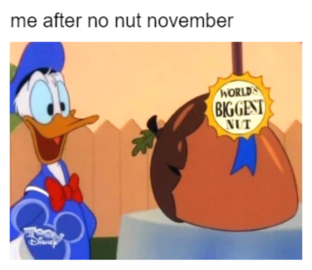 Maple reccomend last nut before november