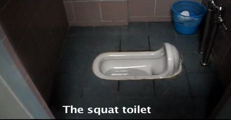 Ferrari reccomend squat toilet